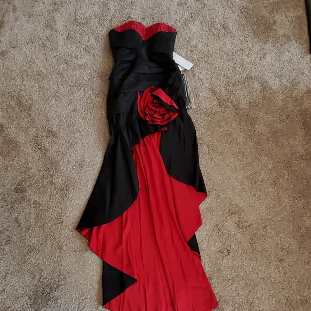 Gorgeous Formal dress